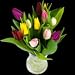 A Bouquet of 12 Classic Rainbow Mix Dutch Tulips f