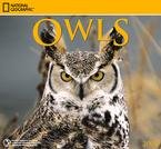 Owls NG Wall 2008