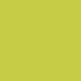 Samsonite Luggage Strap Neon Green