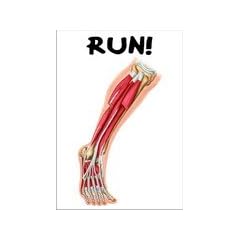 Postkarte "Run!"