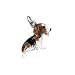 beagle37 - beagle dog charm pendant