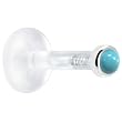 14 Gauge 5/16" Solid 14KT White Gold 2mm Genuine Turquoise Bioplast Push in Monroe