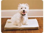 Pet Product PWC17-10797 PetSafe Stay Mat The Wireless Crate - Small