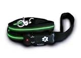 Pet Supplies : Visiglo Lighted Dog Leash - Green (4 ft)