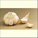 3+ ounces Inchelium Red Garlic Bulbs - Mild & lasting