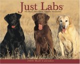 Just Labs 2008 Calendar (Just)