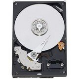 Western digital HD Caviar RE3 / intern / 3,5'' / 250GB / SATAII / 7200rpm / 16MB Cache / Bulk