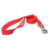 PETCO 1" Single Ply Nylon Dog Lead in Red, Large