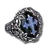 Cemetary - Alchemy Gothic Pewter Ring