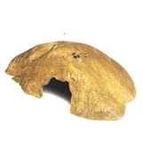 ���i�̏ڍ�