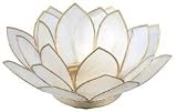 Natural Shell Tea Light Holder Small Lotus - Natural