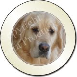 NEW-GOLDEN RETRIEVER FACE Tax Disc Holder