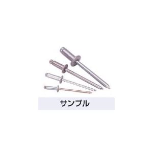 【クリックでお店のこの商品のページへ】エビ ブラインドリベット(1000本入) アルミ/アルミ 6-10 NA610: DIY・工具