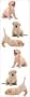 Labrador - Animals