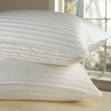 Goose Down Pillow - 1200 Thread Count Egyptian Cotton , Soft, Standard Size, Set of 2