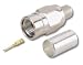 CANARE ������F�^�v���O FP-C5 (20��)