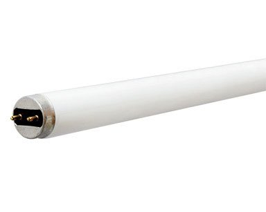 48 ECOLUX FLUORESCENT BULB WITH STARCOAT