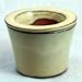 Self Watering Glazed Ceramic Pot - Beige - 6 3/8