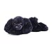 Plush Crockett Black Cocker Spaniel 12