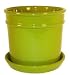 10 Oxford Planter and Saucer - Apple Green