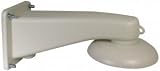 Pendant Wall Mount for CPTZ29D 5W