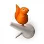 Garderobenhaken Eichh�rnchen 2er-Set wei�/orange von Qualy