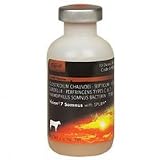Vision 7 Somnus w/SPUR - 250 Dose