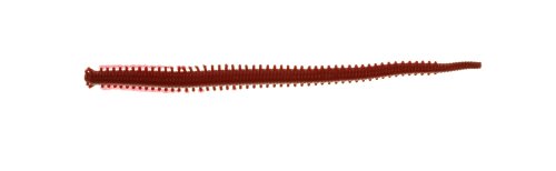 Gulp! Saltwater Fat Sandworm