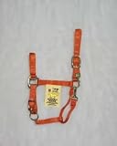 Adjstbl Lthr Head Pole Halter,Horse, Cattle Care, Aquatic Pet, Horse & Cattle, Pet & Supplies