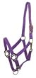 NYLON HORSE HALTER PURPLE