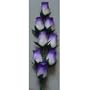 24 CT MULTI COLOR SNGL & TRI BUD ROSES