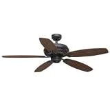 52Fan  