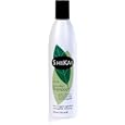 SHAMPOO EVERYDAY CS 24/2 OZ