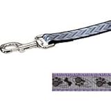 Lazer Brite Reflect Lead 4ft x 5/8 - Paws Bones