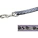 Pet Supplies : Lazer Brite Reflect Lead 4ft x 5/8 - Paws Bones