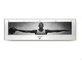 Michael Jordan - Wings - 23x72 Door Poster
