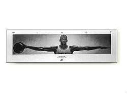 Michael Jordan Poster Wings No bird soars too high if he soars with his own wings 23x72