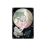 750GB 7200RPM SATA DVR Drive