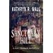 Sanctuary Hill (A Bay Tanner Mystery)