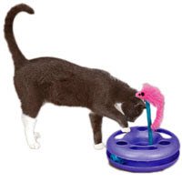Savvy Tabby Bright Delight Interactive Cat Teaser Toy 9.5