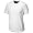 White (WT)