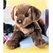 Plush CC Bean Chocolate Lab 12