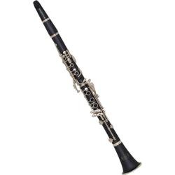 Bundy BCL-300 Clarinet, Standard by 
