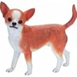 Chihuahua, tan and white 7 Statue