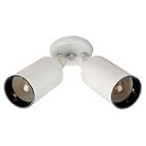 2 Light Flush Mount - Black