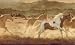 Brown Mustang Horses Running in Sunset Wallpaper Border