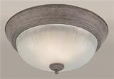 Ceiling Fixtures Forte Lighting 20000-02