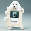 Poodle, White (2 1/2x3 1/2) Small Picture Frame