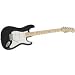 Fender American Standard Stratocaster&reg; Electric Guitar, Black, Maple Fretboard