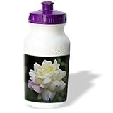 Rebecca Anne Grant Photography Nature Flowers - Yellow And Pink Rose Green Background - Water Bottles